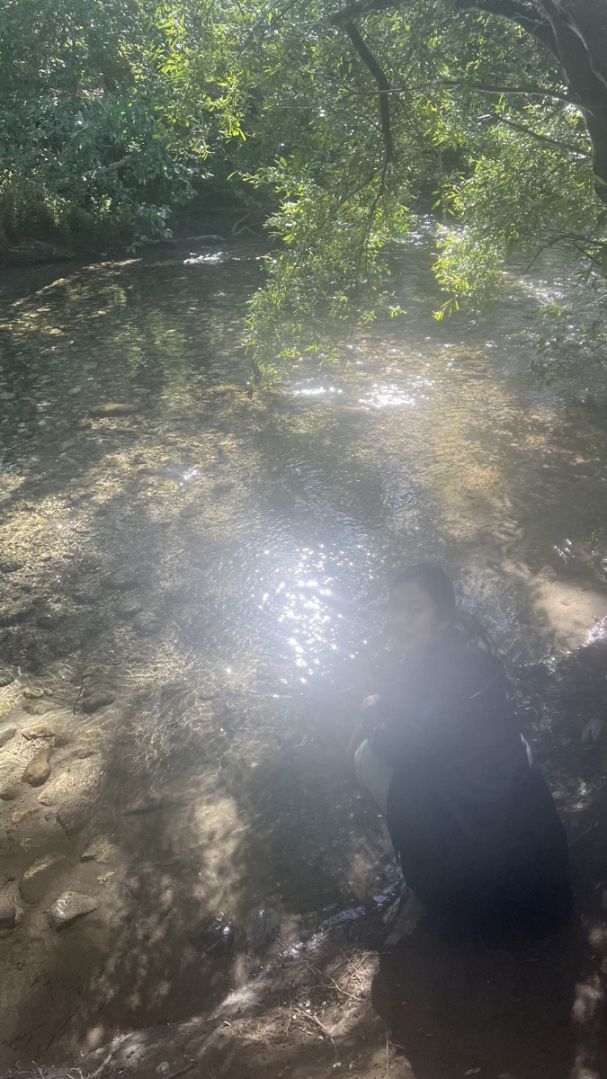By a sunlit creek