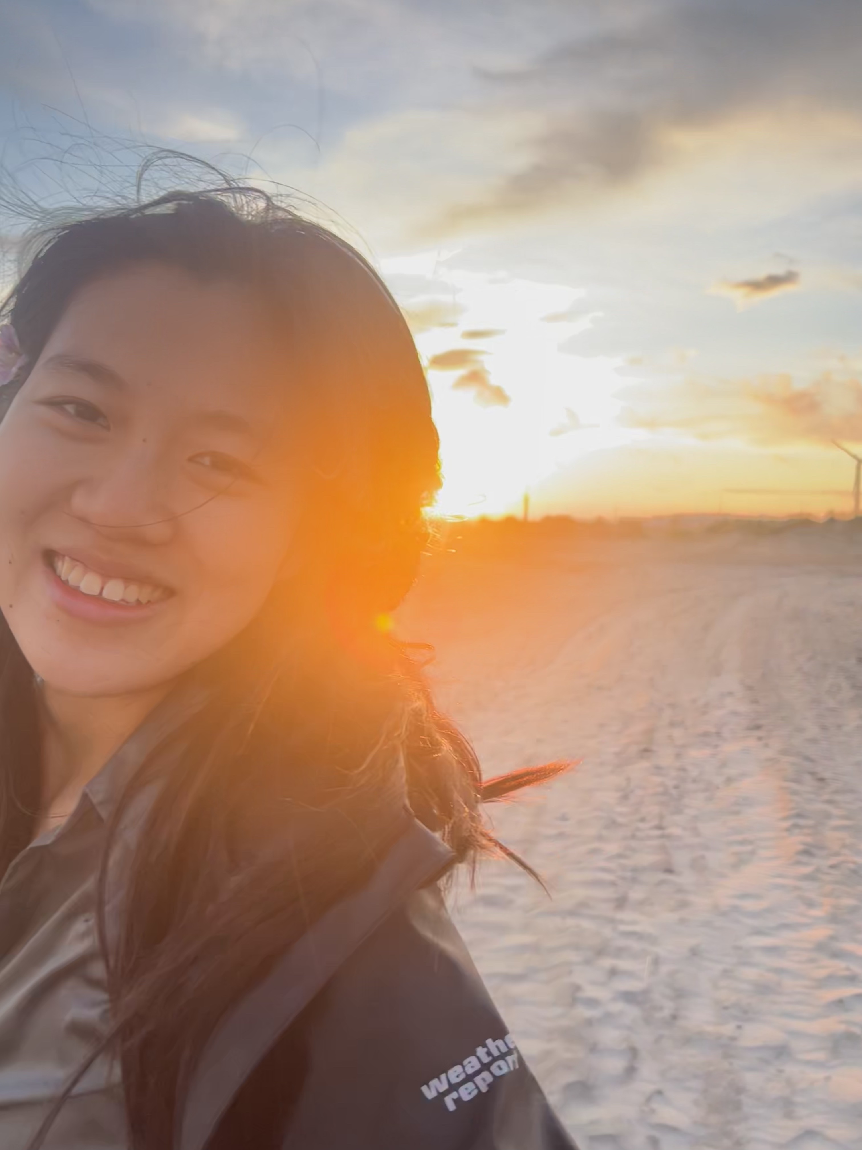 Iris at sunset on the beach