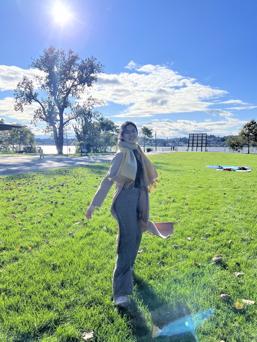 Iris in a sunny park