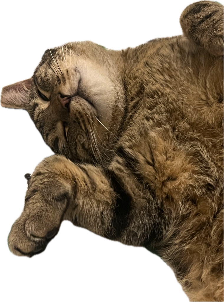 Drag Pistachio to scroll the page